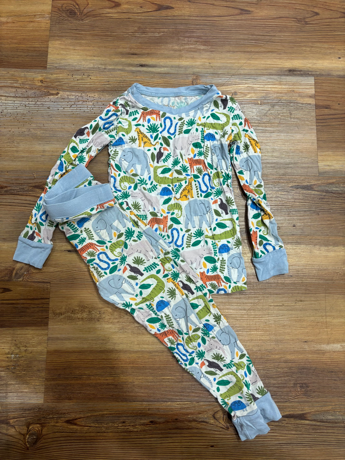 Wild Animals PJ Set