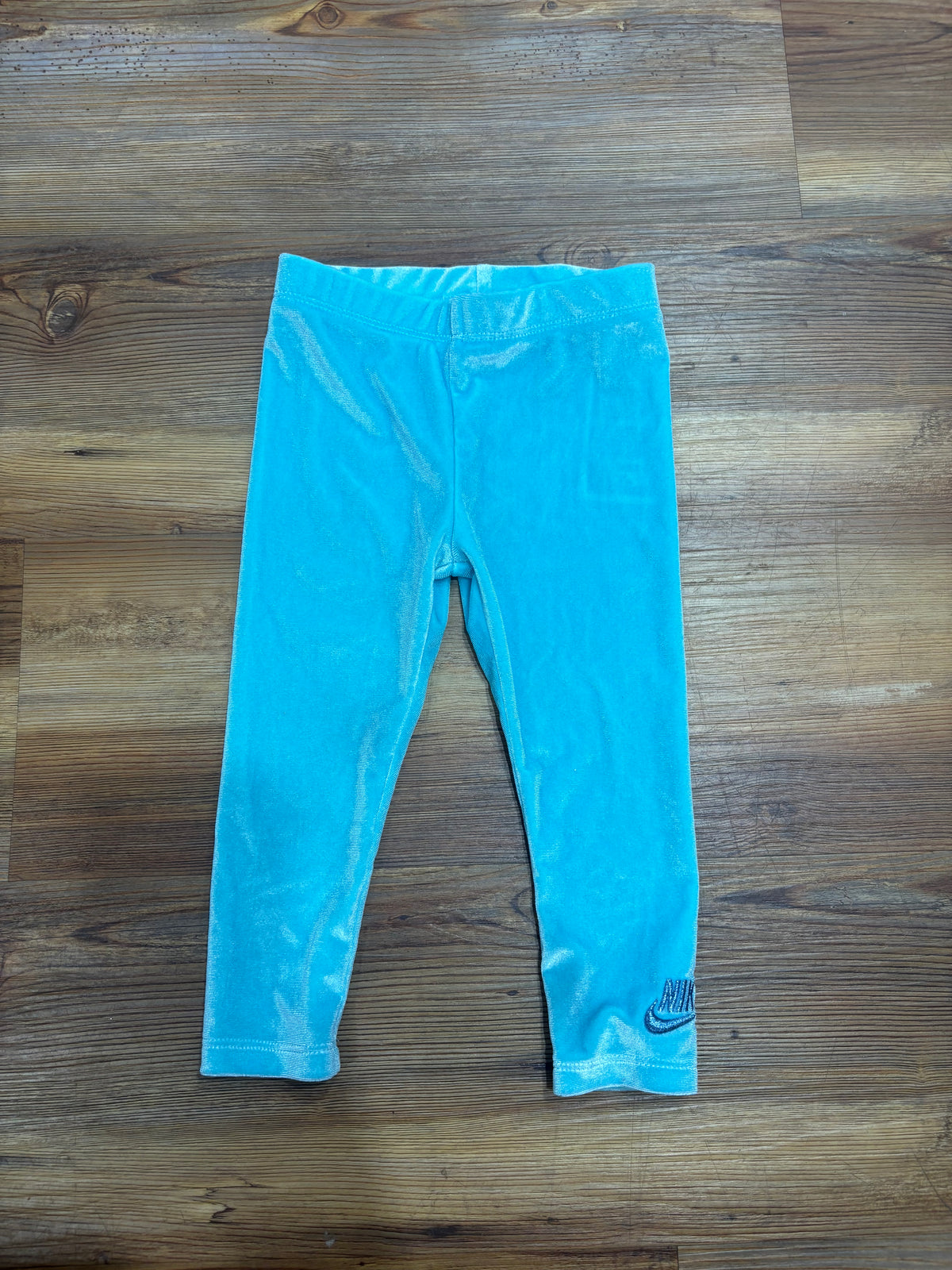Blue Velvet Nike Pants