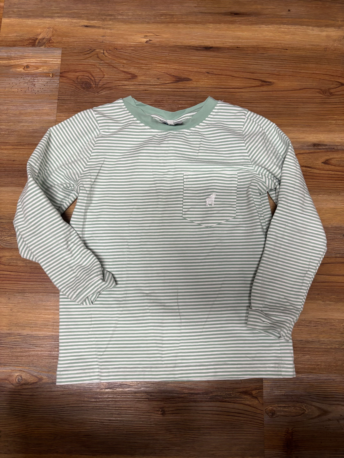 Green Stripe LS Shirt