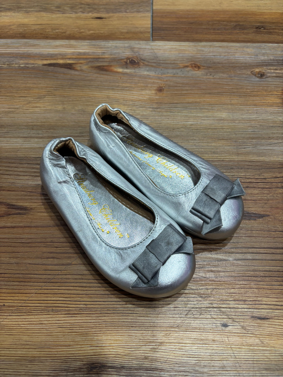 Silver Bow Flats Shoes