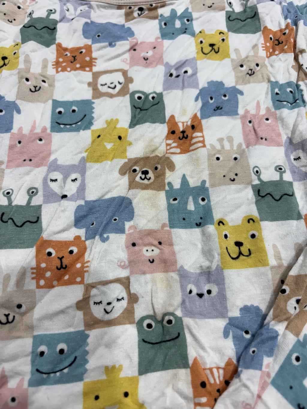Animal Block PJ Set